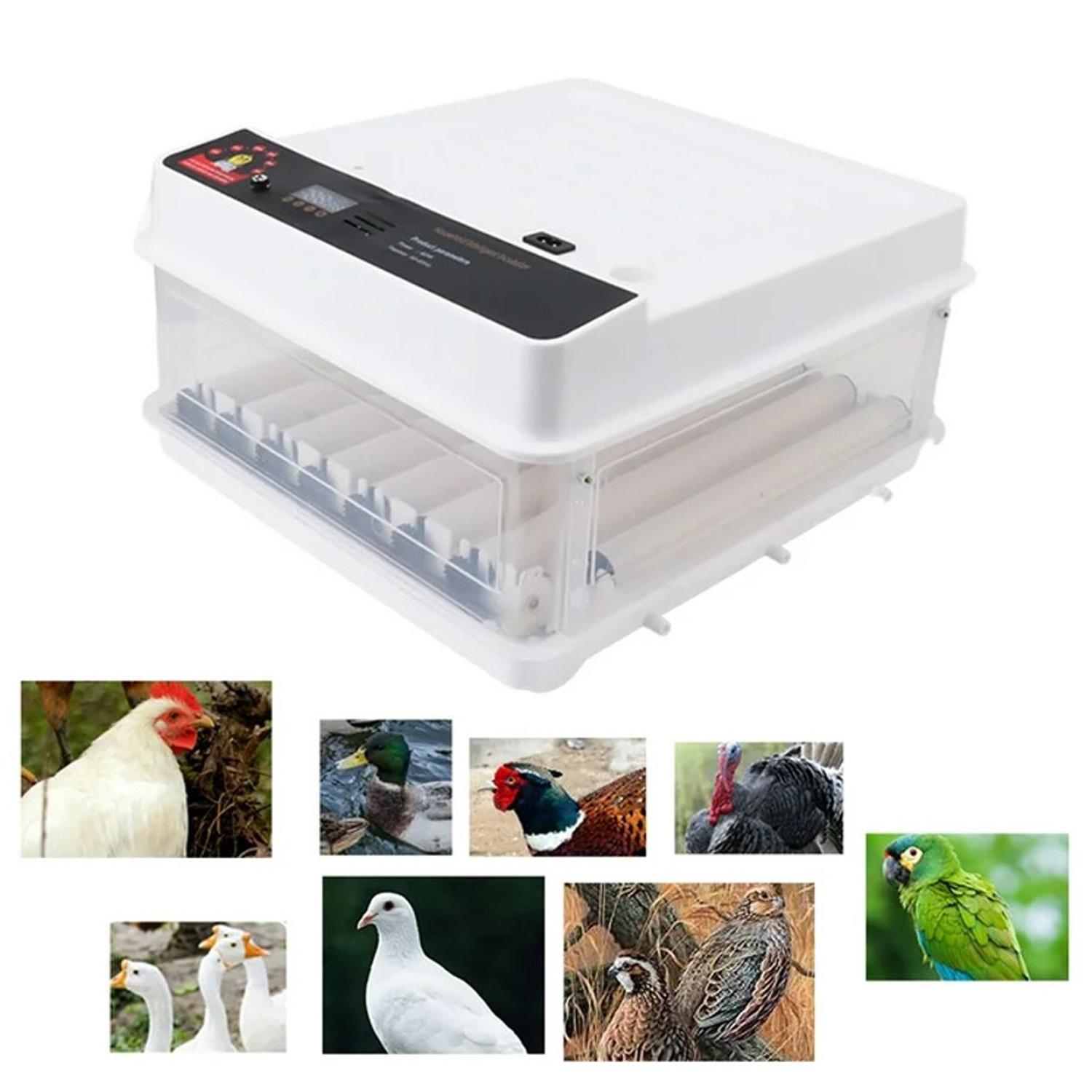 Egg Incubator 48 Eggs Automatic Intelligent Chick Incubator Pigeon Parrot Chicken Duck Goose Incubator